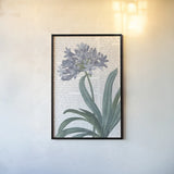 Summer Botanicals I v2 by Wild Apple Portfolio. shown as a paper print in a black flame. Available as a archival giclee rolled canvas, fine art paper, or poster print. SKU 59257h.