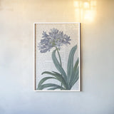 Summer Botanicals I v2 by Wild Apple Portfolio. shown as a paper print in a white frame. Available as a archival giclee rolled canvas, fine art paper, or poster print. SKU 59257h.