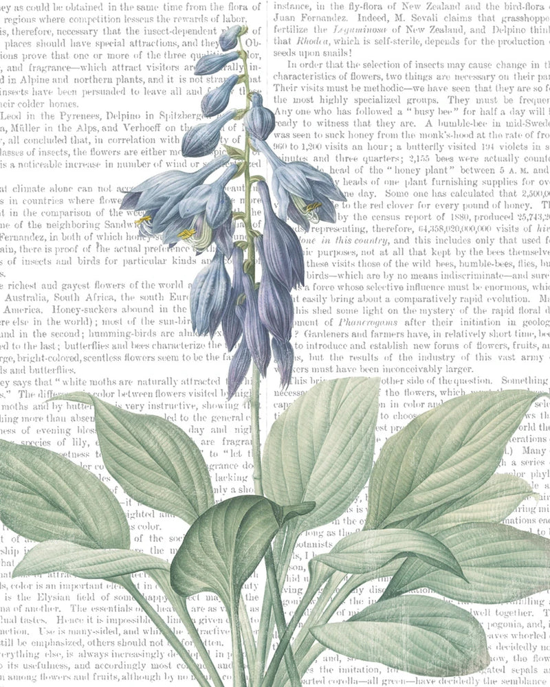 Summer Botanicals II by Wild Apple Portfolio