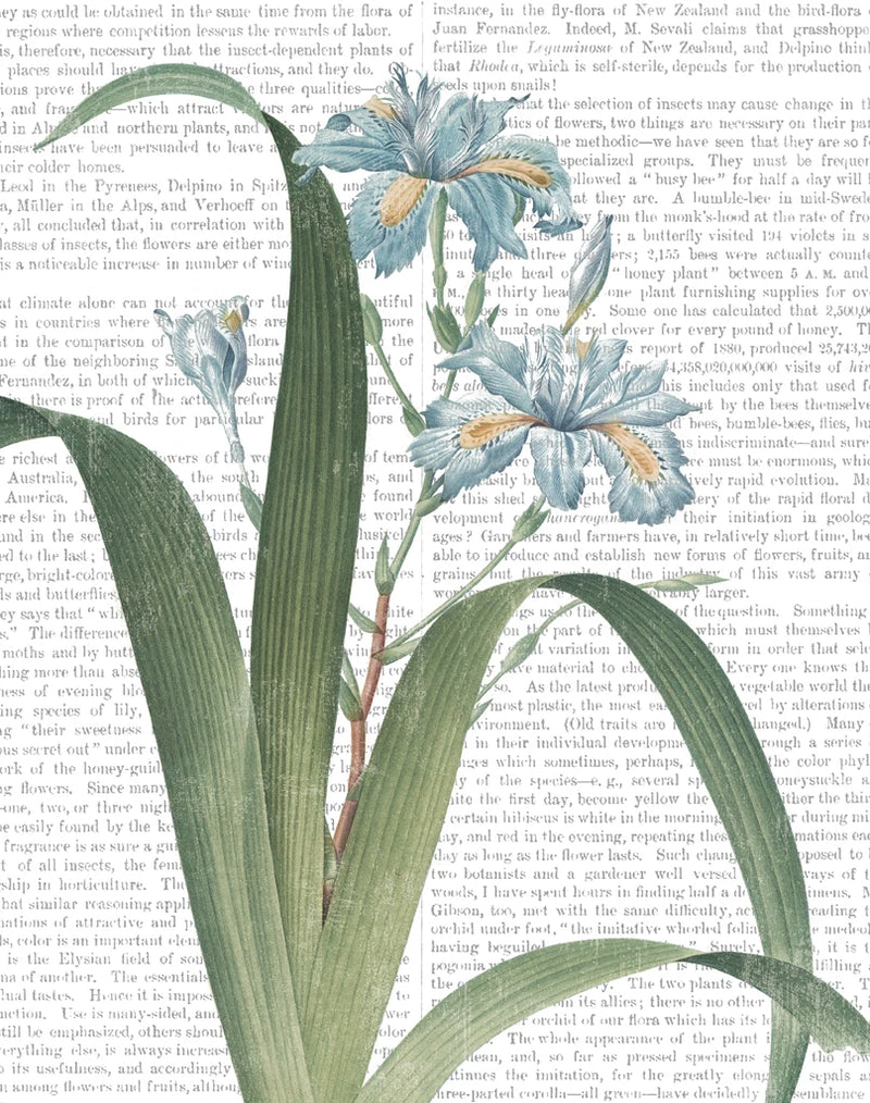 Summer Botanicals III by Wild Apple Portfolio