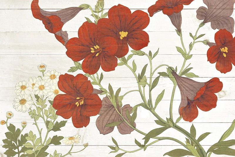 Summer Salpiglossis Cottage by Wild Apple Portfolio. SKU 32062i. Archival Giclee Fine art print for wall decor.