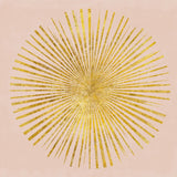 Sunburst I on Pink by Wild Apple Portfolio. SKU 69013a. Archival Giclee Fine art print for wall decor.