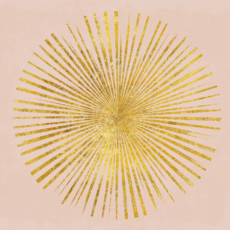 Sunburst I on Pink by Wild Apple Portfolio. SKU 69013a. Archival Giclee Fine art print for wall decor.