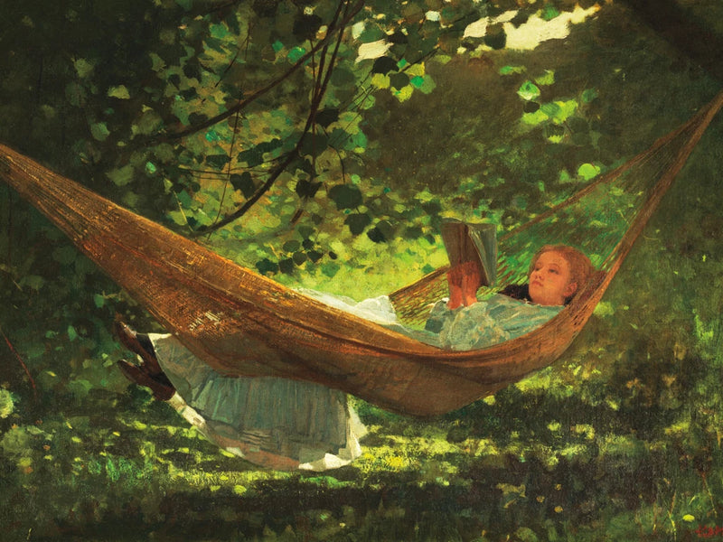 Sunlight and Shadow Reading by Wild Apple Portfolio