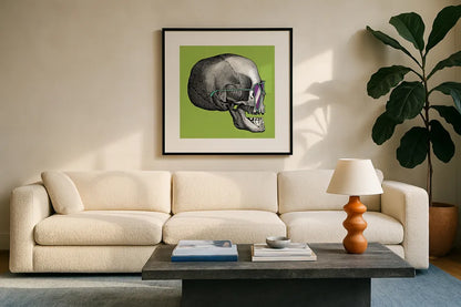 Sunny Skull III by Wild Apple Portfolio. Displayed in a glass frame with matte in a clean modern living room. Available as an archival giclee rolled canvas, fine art paper, or poster print. SKU 21661a.