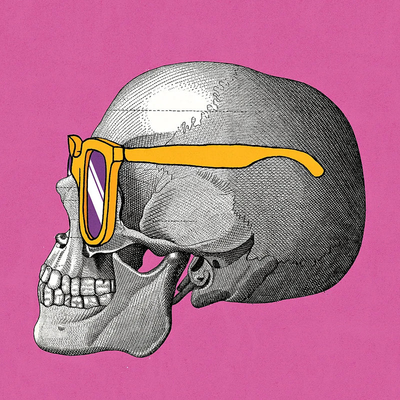 Sunny Skull IV by Wild Apple Portfolio. SKU 21662a. Archival Giclee Fine art print for wall decor.