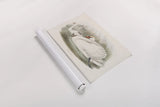 Swan Lake by Wild Apple Portfolio. shown as a rolled paper print. Available as archival giclee rolled canvas, fine art paper, or poster print. SKU 84851i.