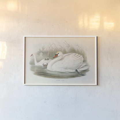 Swan Lake by Wild Apple Portfolio. shown as a paper print in a white frame. Available as a archival giclee rolled canvas, fine art paper, or poster print. SKU 84851i.