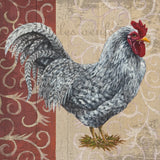 Tail Feathers III by Wild Apple Portfolio. SKU 29556a. Archival Giclee Fine art print for wall decor.