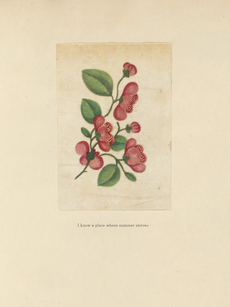 Textbook Floral by Wild Apple Portfolio