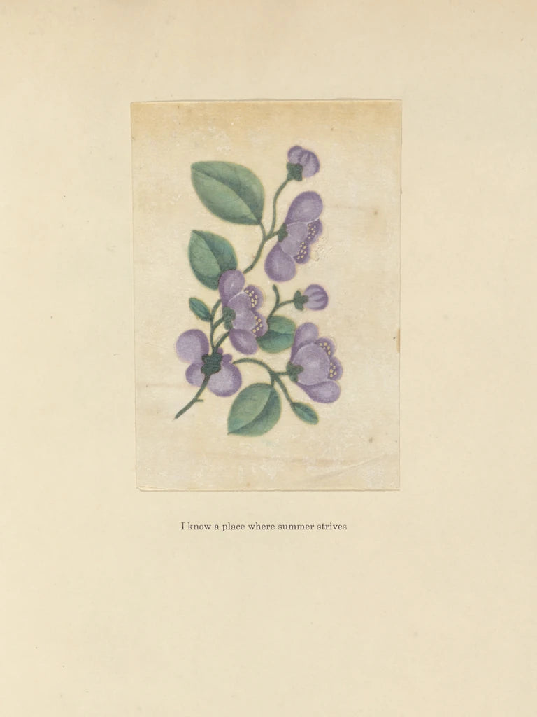 Textbook Floral Pastel by Wild Apple Portfolio