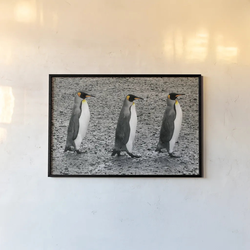 The Bachelors by Wild Apple Portfolio. shown as a paper print in a black flame. Available as a archival giclee rolled canvas, fine art paper, or poster print. SKU 41622i.