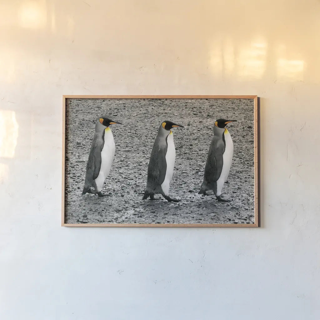 The Bachelors by Wild Apple Portfolio. shown as a paper print in a natural frame. Available as a archival giclee rolled canvas, fine art paper, or poster print. SKU 41622i.