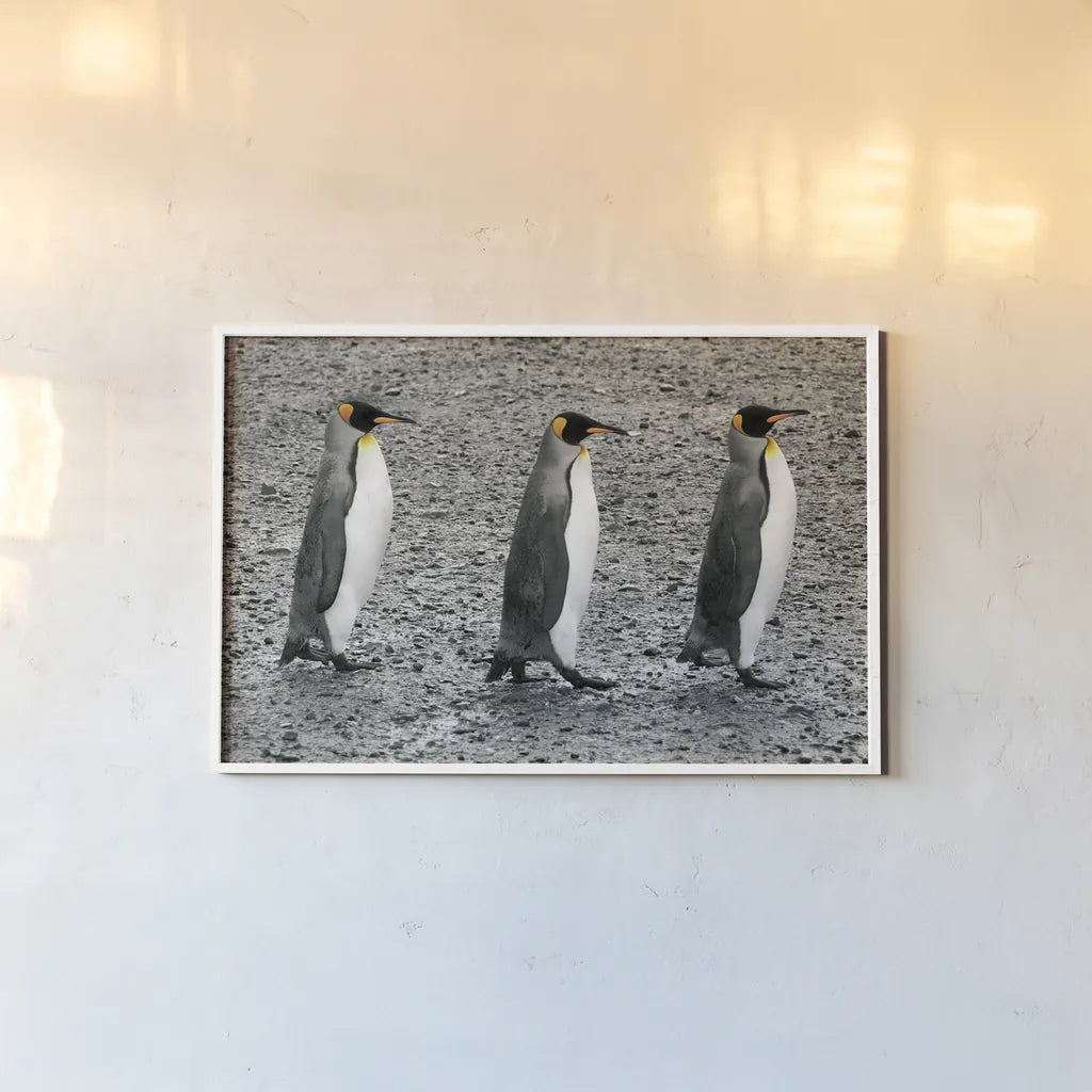 The Bachelors by Wild Apple Portfolio. shown as a paper print in a white frame. Available as a archival giclee rolled canvas, fine art paper, or poster print. SKU 41622i.
