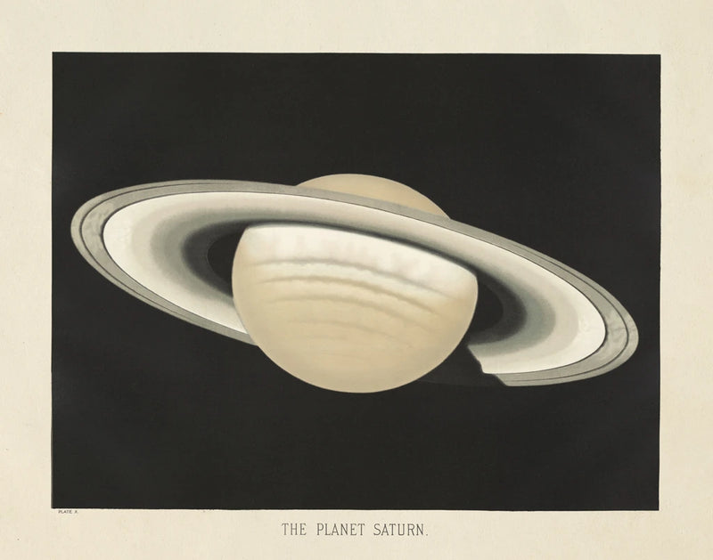 The Planet Saturn by Wild Apple Portfolio