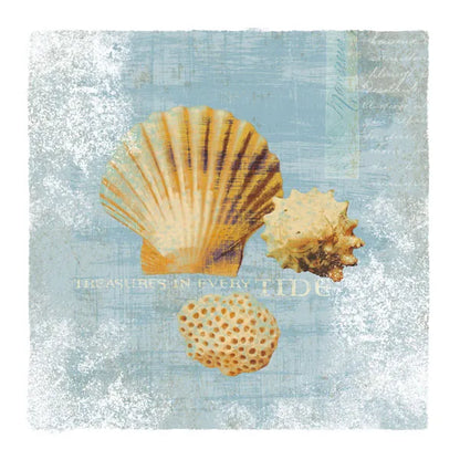 Tidal Treasures by Wild Apple Portfolio. SKU 3354a. Archival Giclee Fine art print for wall decor.