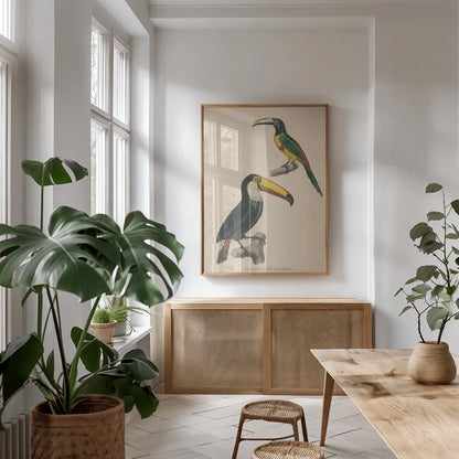 Toucan Study by Wild Apple Portfolio. shown as a print in a natural wood frame in a dining room. Available as a archival giclee rolled canvas, fine art paper, or poster print. SKU 77435h.