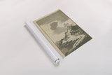 Treastise by Wild Apple Portfolio. shown as a rolled paper print. Available as archival giclee rolled canvas, fine art paper, or poster print. SKU 79192h.