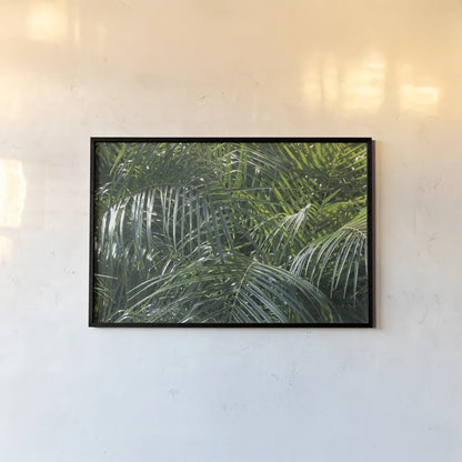 Tropical Fronds by Wild Apple Portfolio. shown as a paper print in a black flame. Available as a archival giclee rolled canvas, fine art paper, or poster print. SKU 56308i.
