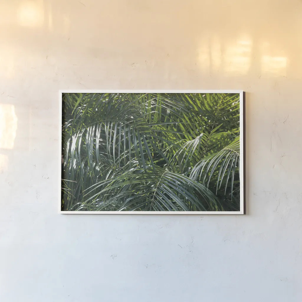 Tropical Fronds by Wild Apple Portfolio. shown as a paper print in a white frame. Available as a archival giclee rolled canvas, fine art paper, or poster print. SKU 56308i.