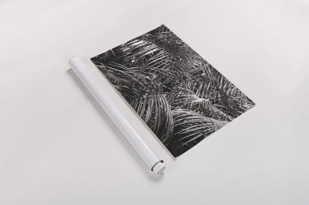 Tropical Fronds BW by Wild Apple Portfolio. shown as a rolled paper print. Available as archival giclee rolled canvas, fine art paper, or poster print. SKU 56309i.