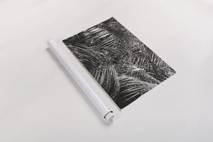 Tropical Fronds BW by Wild Apple Portfolio. shown as a rolled paper print. Available as archival giclee rolled canvas, fine art paper, or poster print. SKU 56309i.