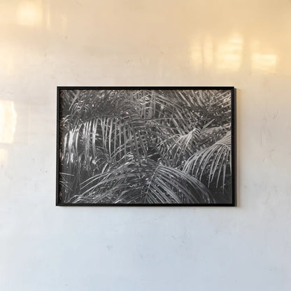 Tropical Fronds BW by Wild Apple Portfolio. shown as a paper print in a black flame. Available as a archival giclee rolled canvas, fine art paper, or poster print. SKU 56309i.
