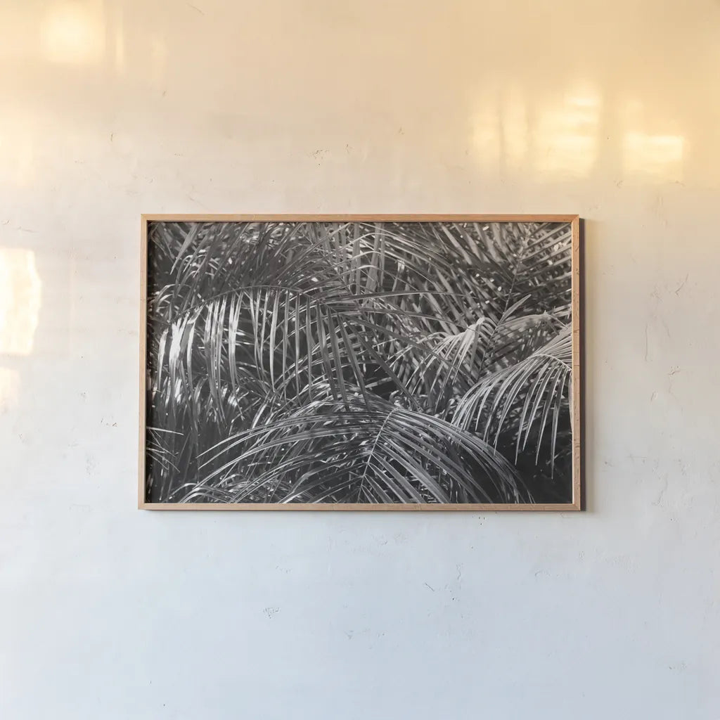Tropical Fronds BW by Wild Apple Portfolio. shown as a paper print in a natural frame. Available as a archival giclee rolled canvas, fine art paper, or poster print. SKU 56309i.