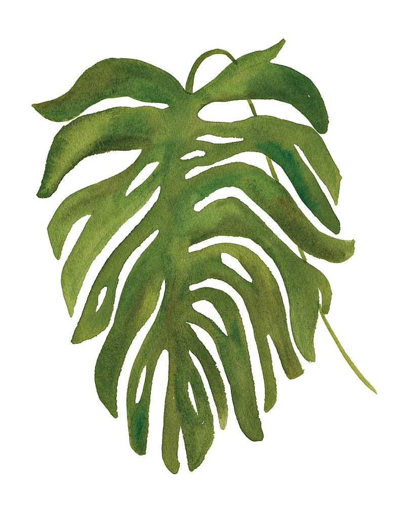 Tropical Palm II by Wild Apple Portfolio
