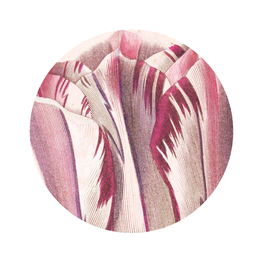 Tulips Circle by Wild Apple Portfolio. SKU 44026a. Archival Giclee Fine art print for wall decor.