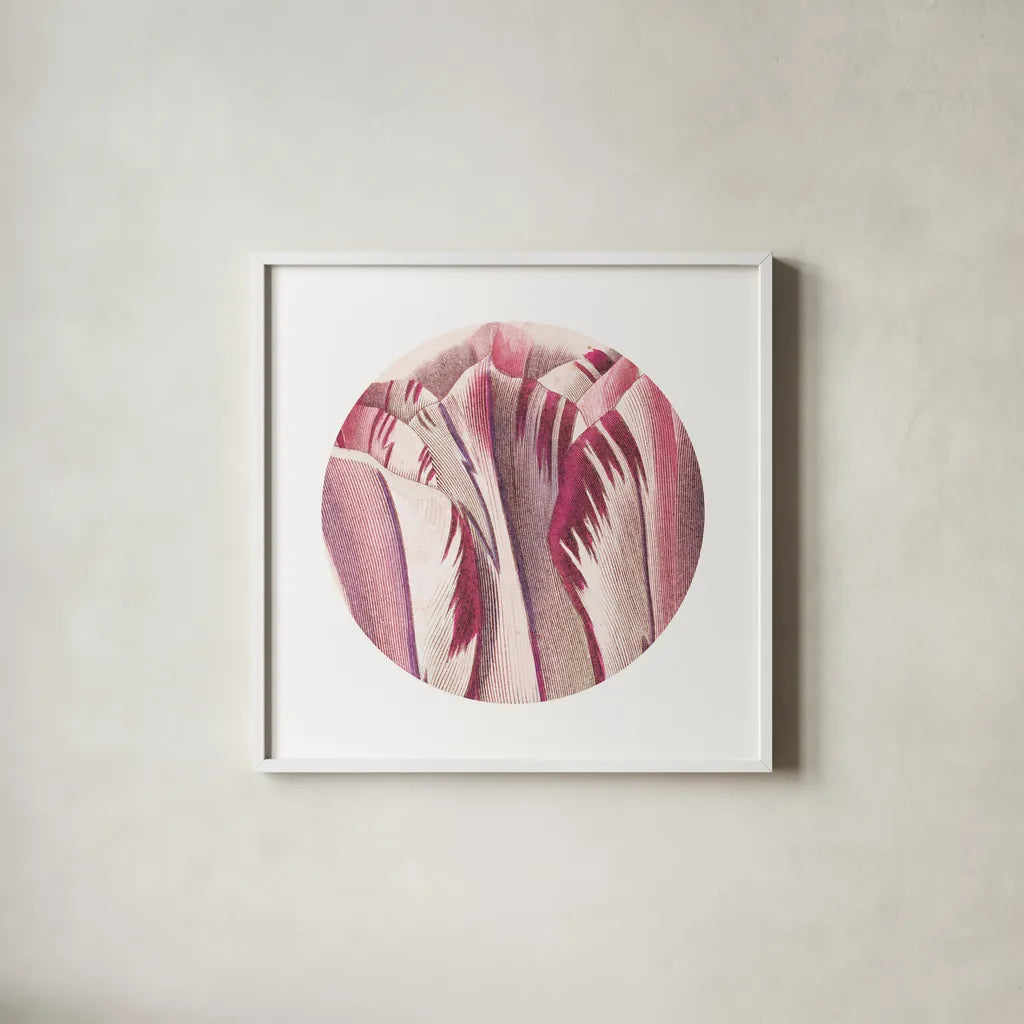 Tulips Circle by Wild Apple Portfolio. Shown in a crisp white glass frame for a clean and minimalist style. Available as an archival giclee rolled canvas, fine art paper, or poster print. SKU 44026a.