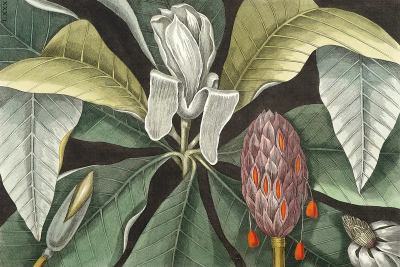 Umbrella Tree by Wild Apple Portfolio