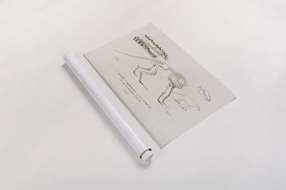 Ungulate Illustrated by Wild Apple Portfolio. shown as a rolled paper print. Available as archival giclee rolled canvas, fine art paper, or poster print. SKU 90315i.