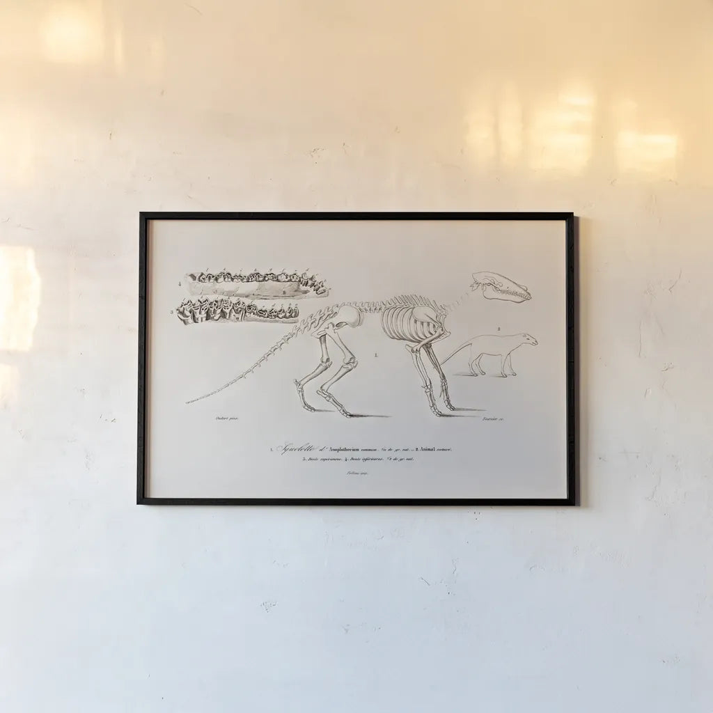 Ungulate Illustrated by Wild Apple Portfolio. shown as a paper print in a black flame. Available as a archival giclee rolled canvas, fine art paper, or poster print. SKU 90315i.