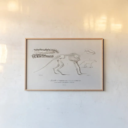 Ungulate Illustrated by Wild Apple Portfolio. shown as a paper print in a natural frame. Available as a archival giclee rolled canvas, fine art paper, or poster print. SKU 90315i.