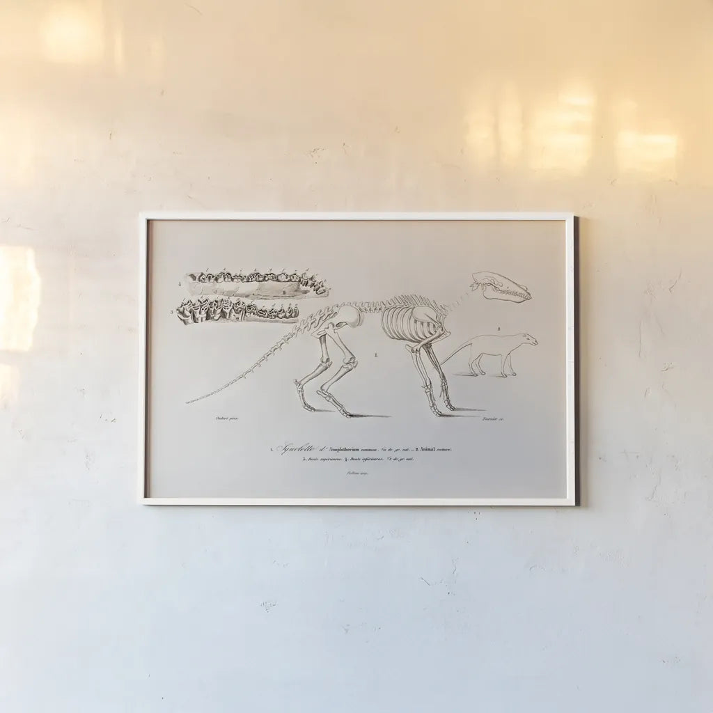 Ungulate Illustrated by Wild Apple Portfolio. shown as a paper print in a white frame. Available as a archival giclee rolled canvas, fine art paper, or poster print. SKU 90315i.