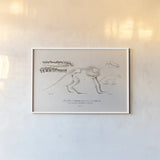 Ungulate Illustrated by Wild Apple Portfolio. shown as a paper print in a white frame. Available as a archival giclee rolled canvas, fine art paper, or poster print. SKU 90315i.