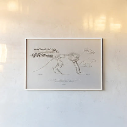 Ungulate Illustrated by Wild Apple Portfolio. shown as a paper print in a white frame. Available as a archival giclee rolled canvas, fine art paper, or poster print. SKU 90315i.