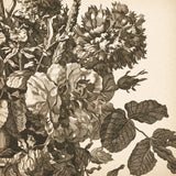 Urn Arrangement II by Wild Apple Portfolio. SKU 95557a. Archival Giclee Fine art print for wall decor.