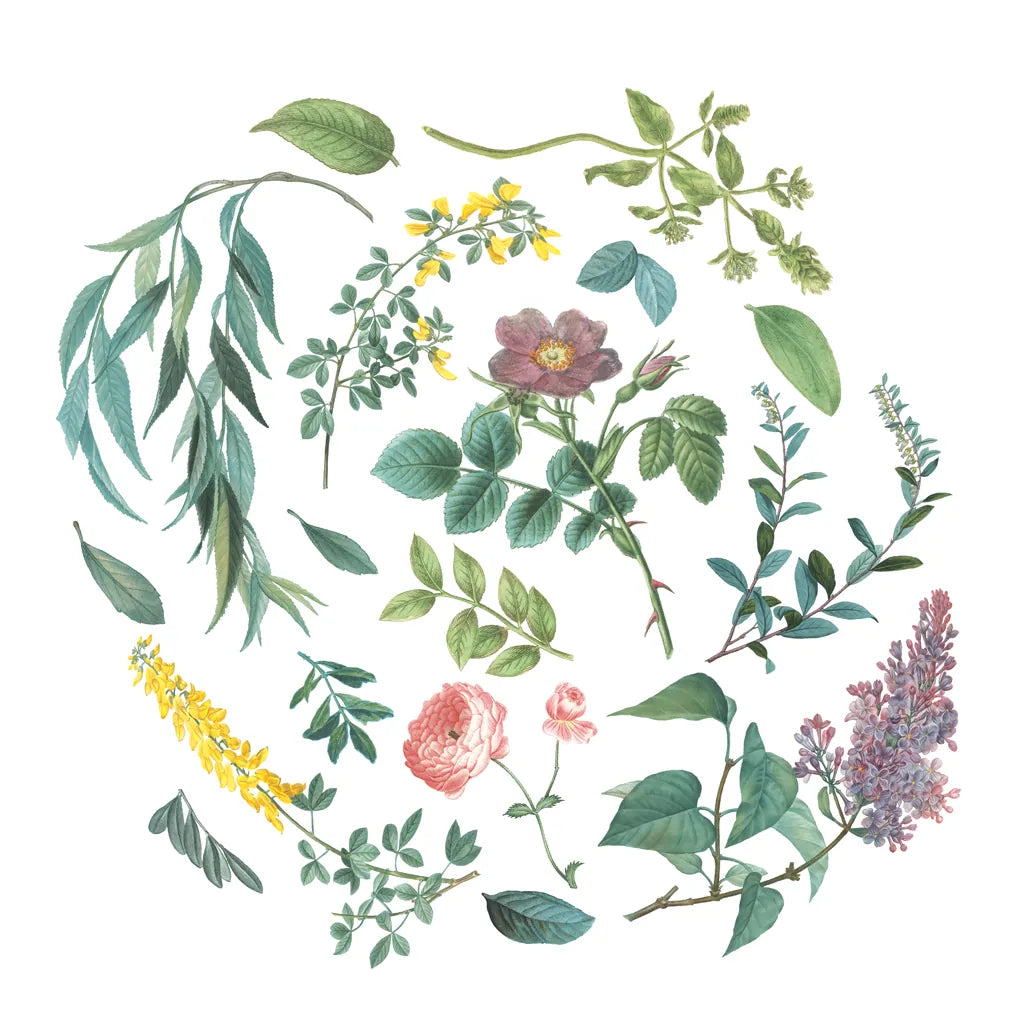 Victorian Garden Bright I by Wild Apple Portfolio. SKU 77661a. Archival Giclee Fine art print for wall decor.