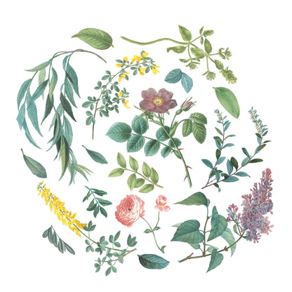 Victorian Garden Bright I by Wild Apple Portfolio. SKU 77661a. Archival Giclee Fine art print for wall decor.