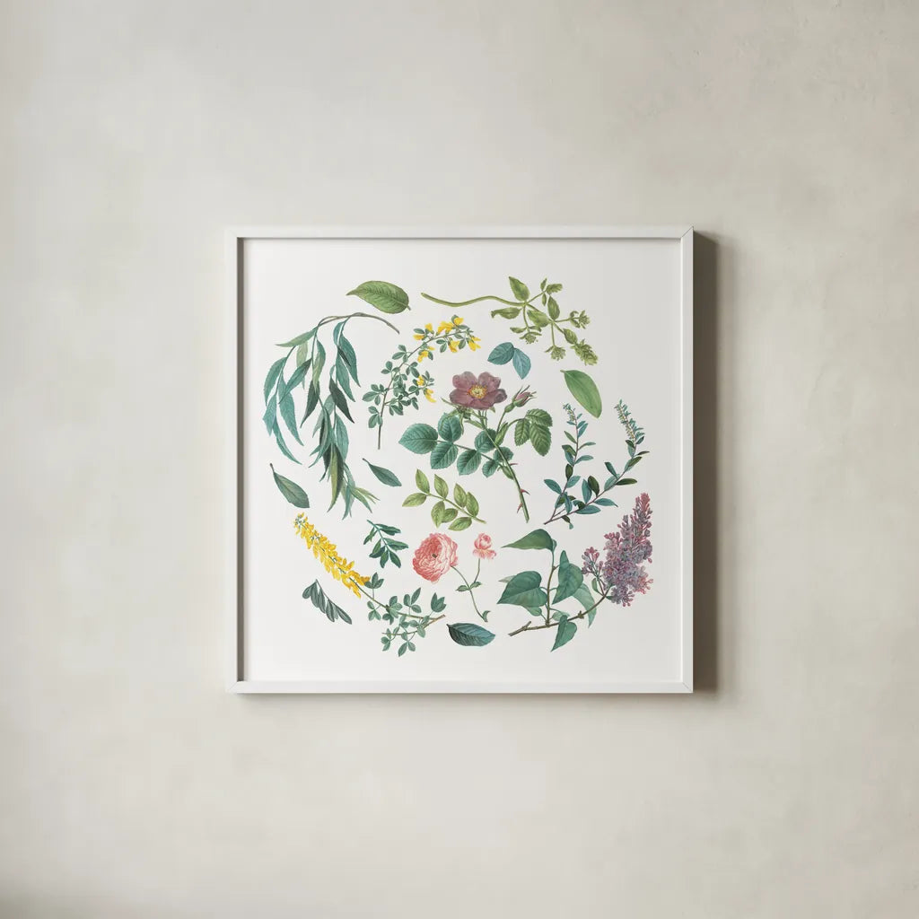 Victorian Garden Bright I by Wild Apple Portfolio. Shown in a crisp white glass frame for a clean and minimalist style. Available as an archival giclee rolled canvas, fine art paper, or poster print. SKU 77661a.