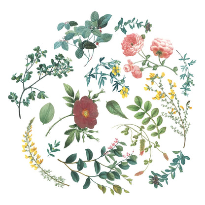 Victorian Garden Bright II by Wild Apple Portfolio. SKU 77662a. Archival Giclee Fine art print for wall decor.