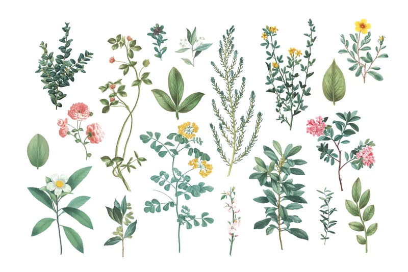 Victorian Garden Bright III by Wild Apple Portfolio. SKU 77663i. Archival Giclee Fine art print for wall decor.