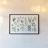 Victorian Garden Bright III by Wild Apple Portfolio. shown as a paper print in a black flame. Available as a archival giclee rolled canvas, fine art paper, or poster print. SKU 77663i.