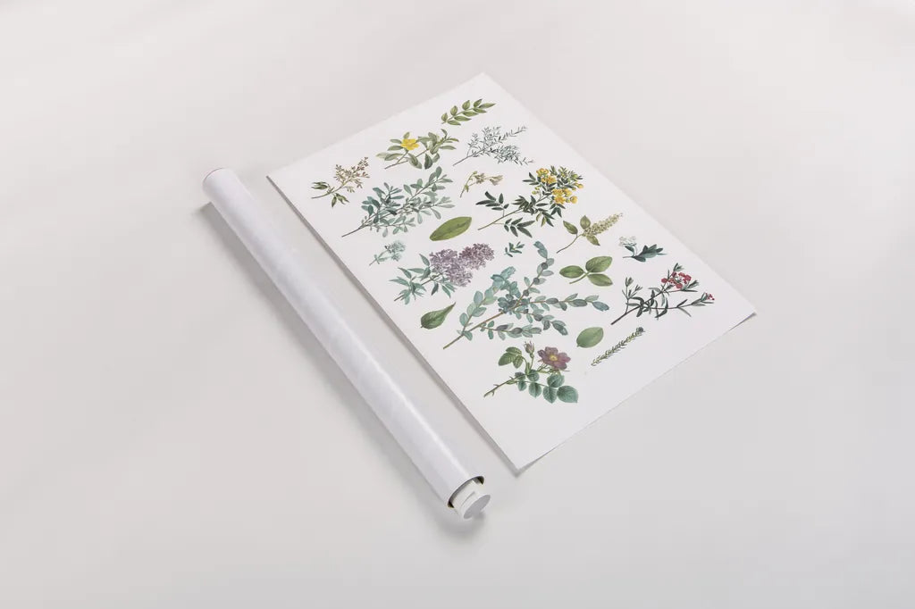 Victorian Garden Bright IV by Wild Apple Portfolio. shown as a rolled paper print. Available as archival giclee rolled canvas, fine art paper, or poster print. SKU 77664i.