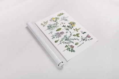 Victorian Garden Bright IV by Wild Apple Portfolio. shown as a rolled paper print. Available as archival giclee rolled canvas, fine art paper, or poster print. SKU 77664i.