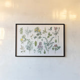 Victorian Garden Bright IV by Wild Apple Portfolio. shown as a paper print in a black flame. Available as a archival giclee rolled canvas, fine art paper, or poster print. SKU 77664i.