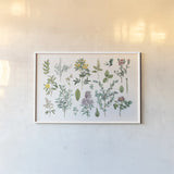 Victorian Garden Bright IV by Wild Apple Portfolio. shown as a paper print in a white frame. Available as a archival giclee rolled canvas, fine art paper, or poster print. SKU 77664i.