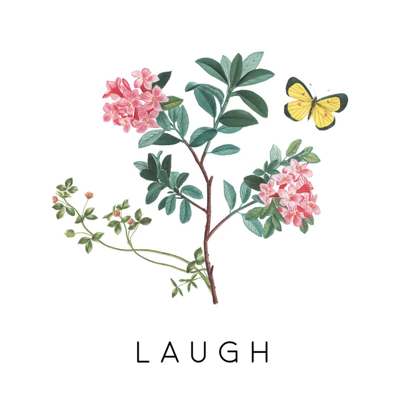 Victorian Garden Bright VIII by Wild Apple Portfolio. SKU 77668a. Archival Giclee Fine art print for wall decor.